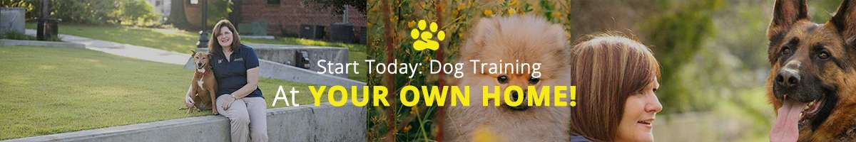 Bark Busters - Eastern Suburbs Banner