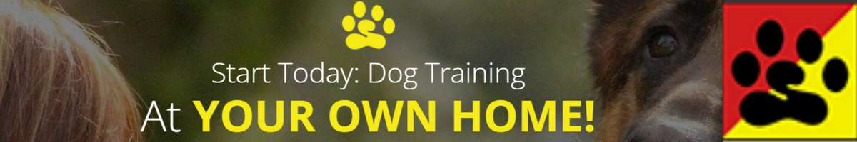 Bark Busters - Sydney Southern Banner
