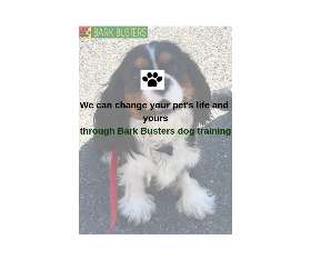 Bark Busters - Sydney Southern - Campsie