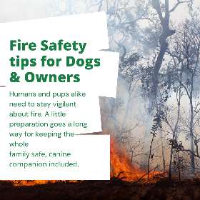 Bark Busters - Sydney Southern - Carss Park