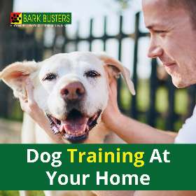 Bark Busters - Sydney Southern