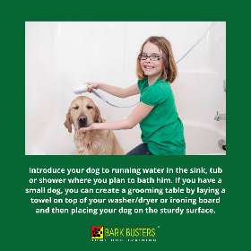 Bark Busters - Sydney Southern - Connells Point