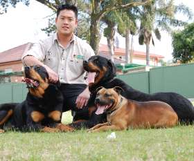 Bark Busters - Sydney Southern - Cronulla