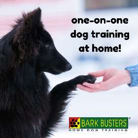 Bark Busters - Sydney Southern - Hurstville Westfield