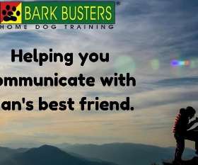 Bark Busters - Sydney Southern - Kangaroo Point