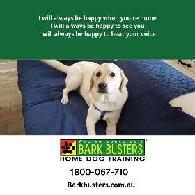 Bark Busters - Sydney Southern - Kingsgrove