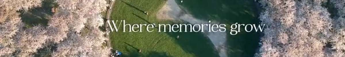 Mornington Green Banner