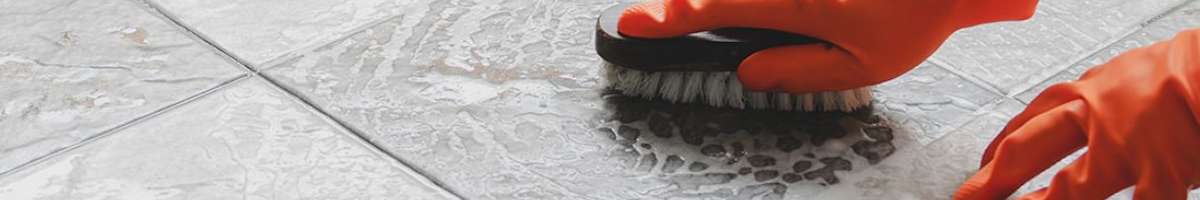 Tims Tile And Grout Cleaning Tranmere Banner