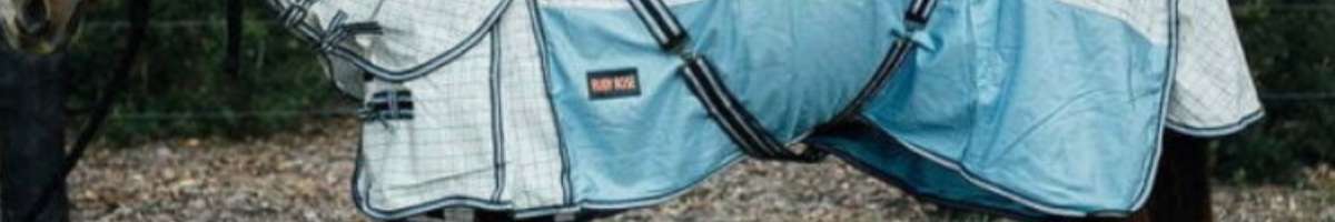 Ruby Rose Horse & Rider Banner