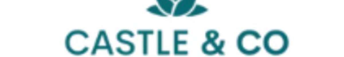 Castle & Co Banner