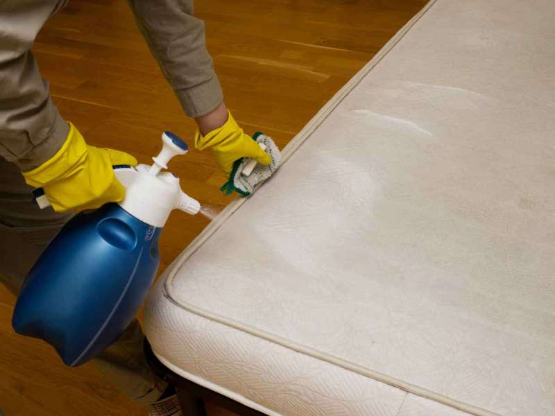 Cara Membersihkan Springbed yang Kotor: Rahasia Springbed Bersih dan Nyaman