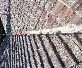Mouldy Roof Before - Thinking Thermal