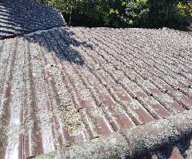 Mouldy Roof Before - Thinking Thermal