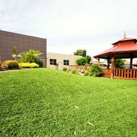 TermiTurf Adelaide