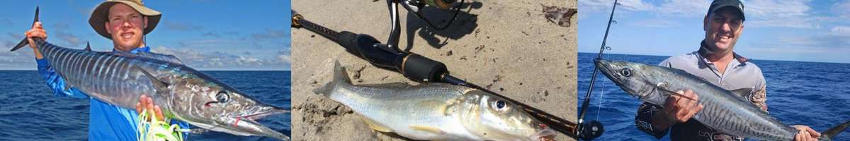 True Blue Fishing Charters | Fishing Charters in Gold Coast Banner