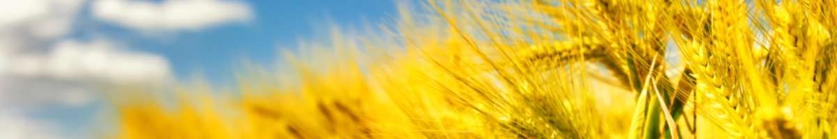 Staff 360 | Total Recruitment Solutions Banner