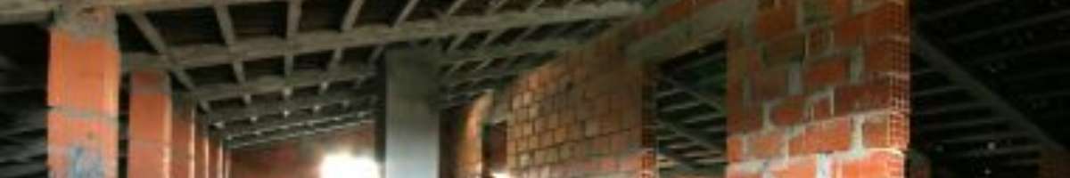 Vital Building and Pest Inspections Banner