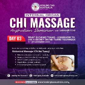 Internal Organ Chi Massage with Sarina Stone - Day 3