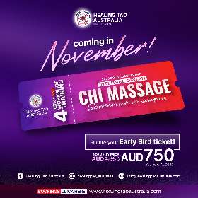Internal Organ Chi Massage Seminar by Sarina Stone - Sarina Stone