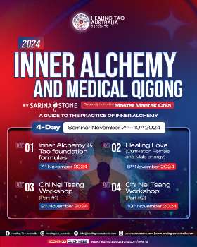 Rundown inner alchemy and medical qigong ┃Healing Tao Seminar 2024