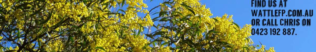 Wattle Financial Planning Gold Coast Banner