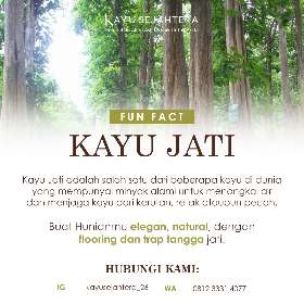 Fun fact tentang kayu jati