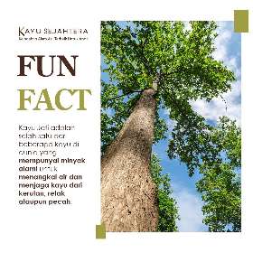 Funfact kayu jati untuk digunakan sebagai interior dekor rumah