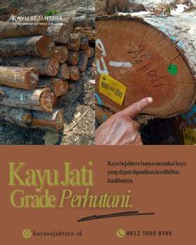 Kayu jati dengan grade asli perhutani - oleh Kayu Sejahtera Woodworking