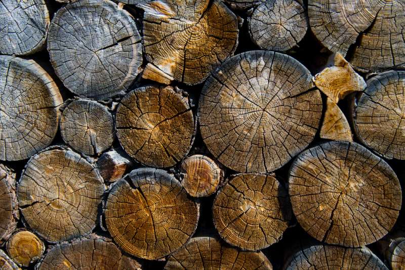 Rahasia di Balik Keberhasilan Konstruksi dan Efisiensi Pembakaran Kayu: Manfaat Menentukan Kadar Air