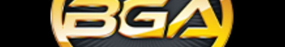 Belmont Guns & Ammo Banner