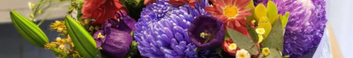 Dandelion Florist Banner