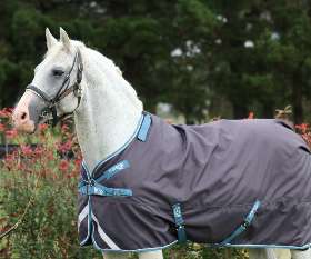 Bow Horse