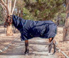 Bow Horse