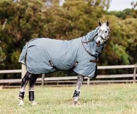 Bow Horse