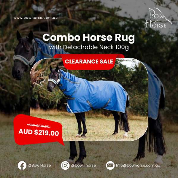 Combo Horse Rug with Detachable Neck 100g is on SALE!