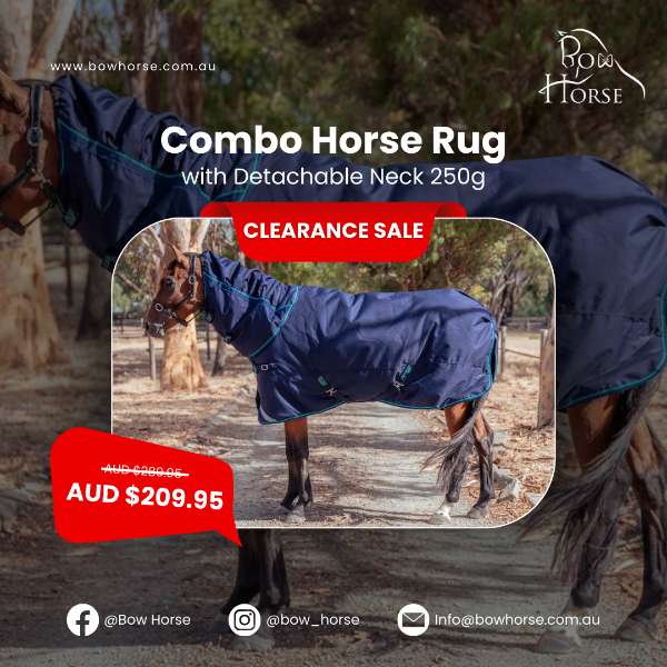 Combo Horse Rug with Detachable Neck 250g is on SALE!
