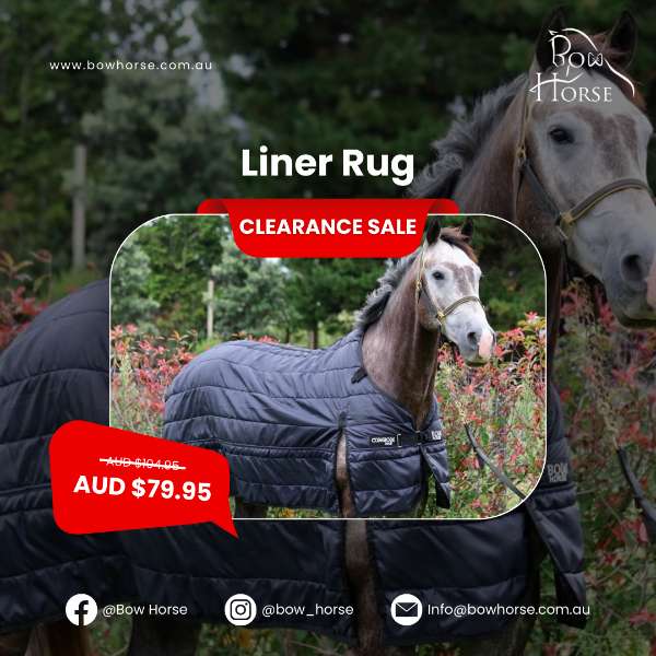 Liner Rug is on SALE!