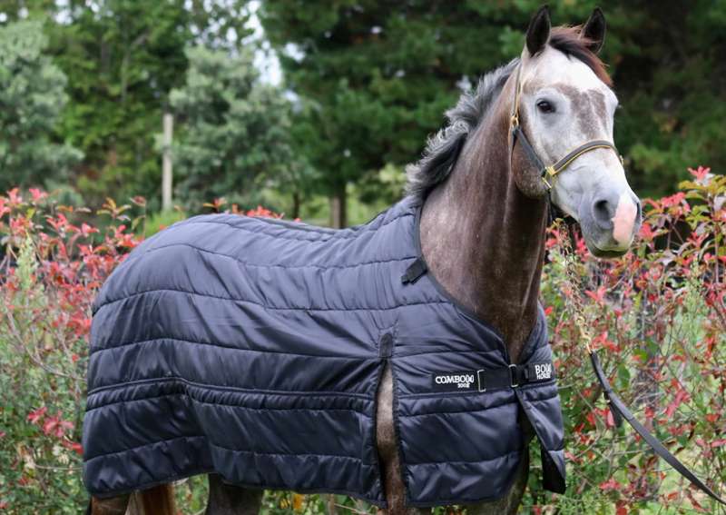 Everything You Need to Know Before Buying a Horse Rug