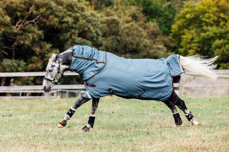 Keeping Your Horse Comfortable: A Guide on Why and When to Rug your Horse