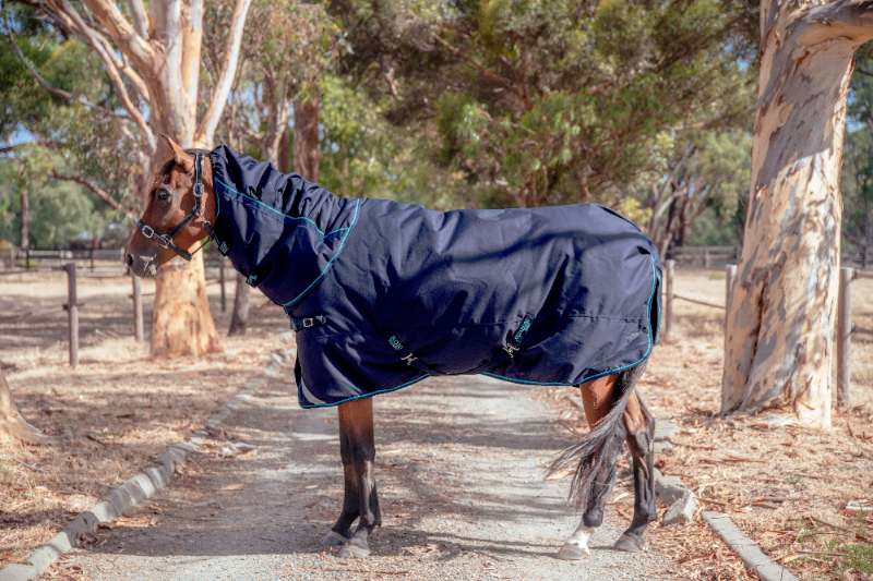Properly Fitting a Horse Rug to Ensure Your Horse's Comfort
