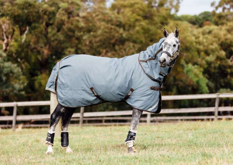Atlas Horse Rug with Detachable Neck