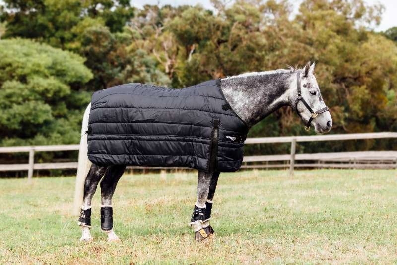 Choosing the Right Weight: Lightweight vs. Heavyweight Horse Rugs