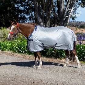Bow Horse