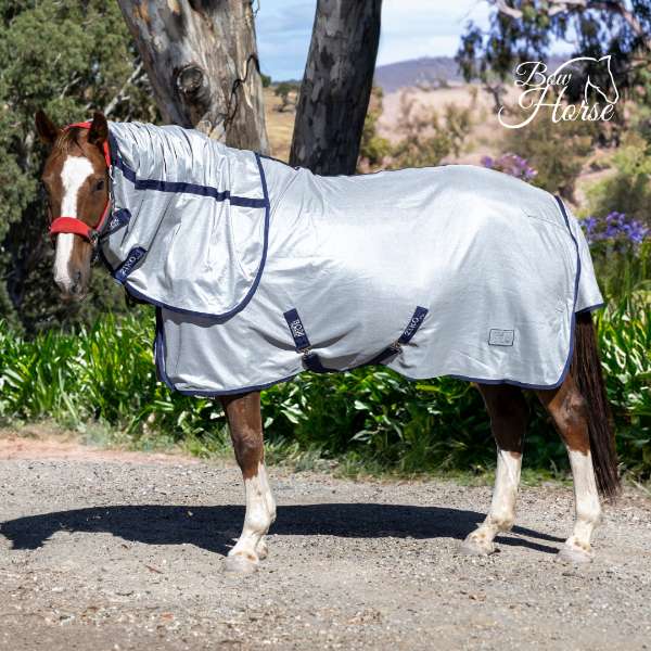 Benefits of Rugs for Equestrian Horses: Comfort, Protection, and Health