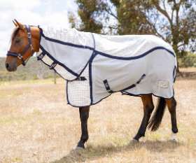 Should Horses Wear Rugs in Summer?