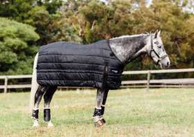 Liner Rug