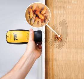 Gold Coast Pest Services