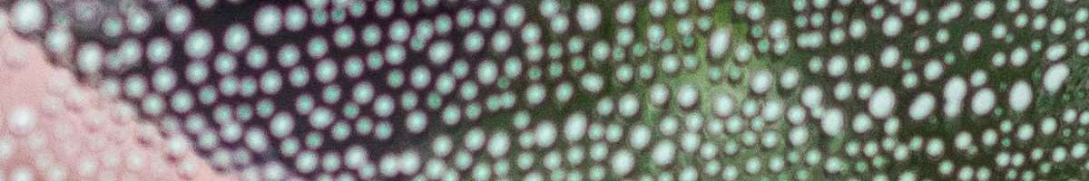 Giraffe Window Cleaning Banner