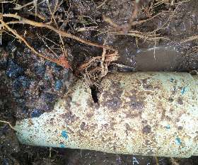 Top to Bottom Plumbing Townsville