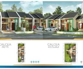 CALCEA